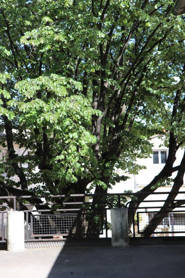 La Maison Du Soleil Vauvert Ngoại thất bức ảnh